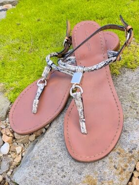 Coach Brown Leather T-Strap Sandals with Snake-Print Accents